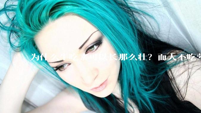 为什么牛吃素可以长那么壮？而人不吃荤就不行？