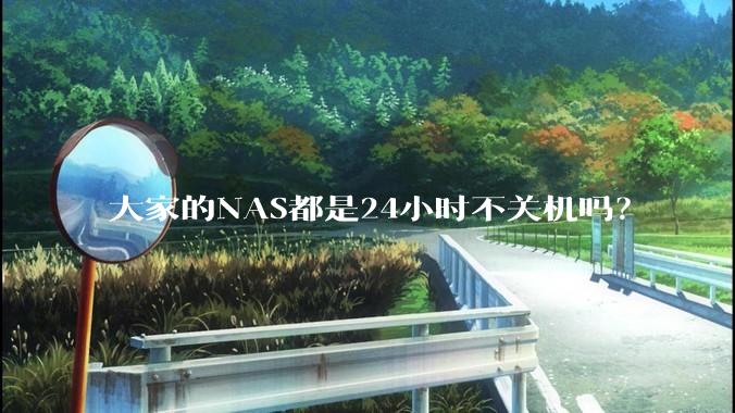 大家的NAS都是24小时不关机吗？